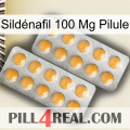 Sildénafil 100 Mg Pilule levitra2
